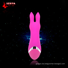 10 Speed ​​Vibrating Rabbit Leistungsstarke Frauen Sex Erotik Spielzeug (DYAST304)